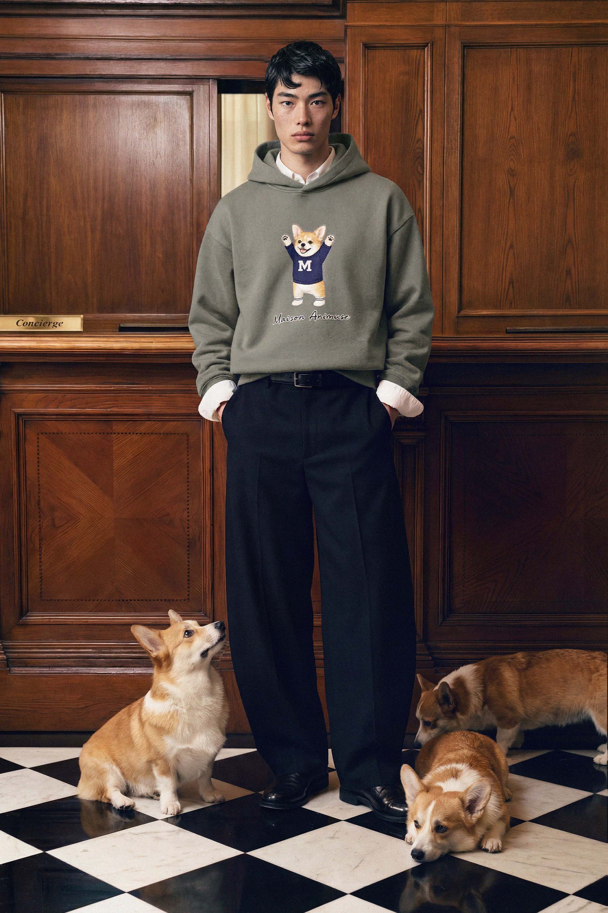 Pembroke Welsh Corgi