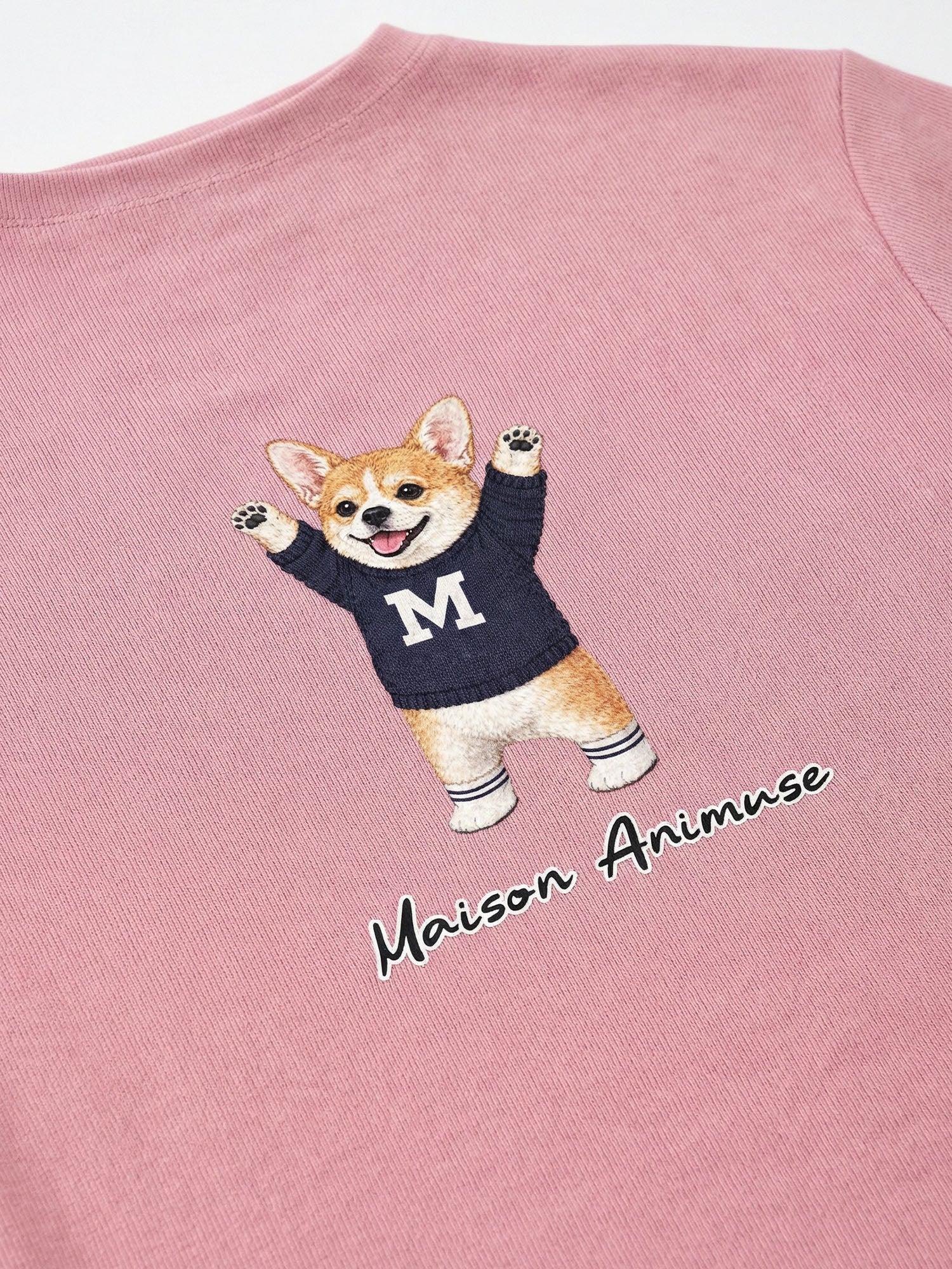 Womens Slim Fit Mid Neck T-Shirt - Welsh Corgi