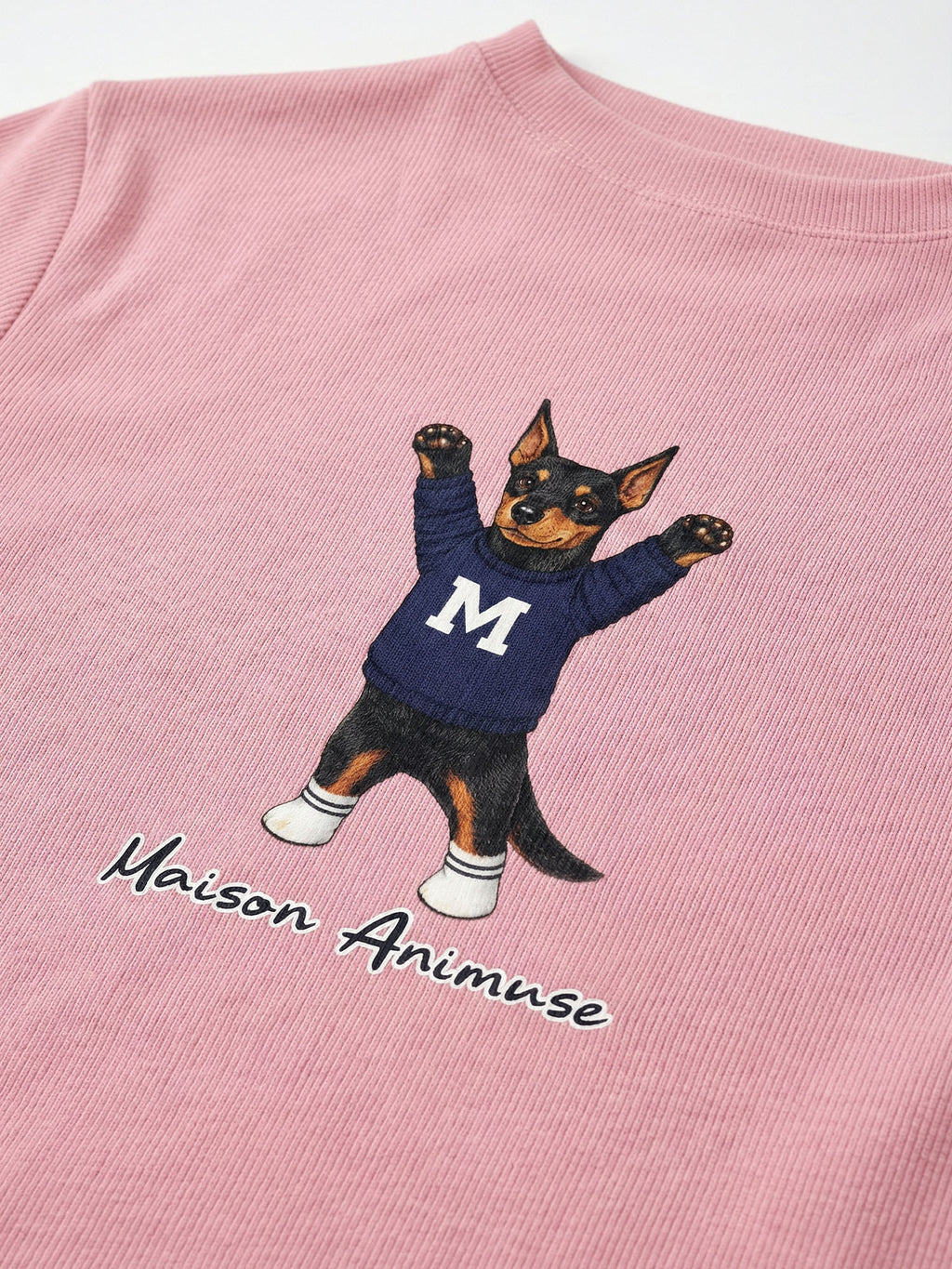 Womens Slim Fit Mid Neck T-Shirt - Doberman Pinscher
